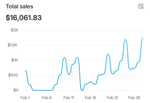 Escaping Your 9-5: Make $10k/Month From Home 💰